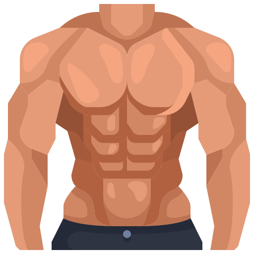 a muscular male upper body